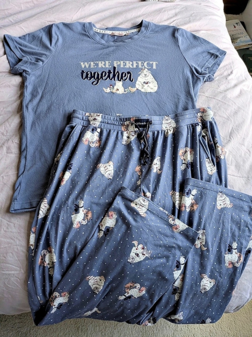 la Vie en Rose Blue Printed Pajama Set Size Medium